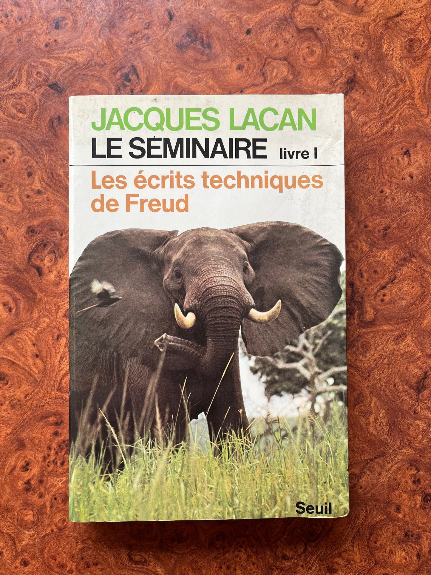 Les écrits techniques de Freud, Jacques Lacan