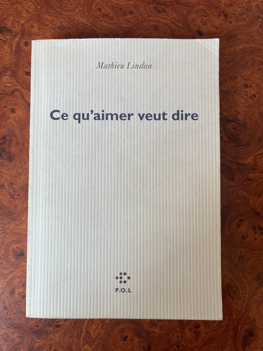 Ce qu’aimer veut dire, Mathieu Lindon